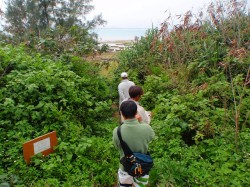 リーフトレイル