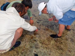 ウニやナマコの知られざる生態や、ダイビングではなかなか見られない生き物の宝庫でした！！思わず生き物探しに夢中です♪