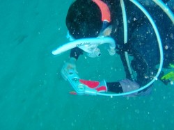 ナビゲーションの練習 (アドバンスド ダイバー講習) ナビゲーションの練習 (アドバンスド ダイバー講習)