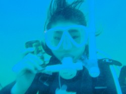 光がないと、鮮やかな赤い色は見えませんね (ディープダイビング講習) 光がないと、鮮やかな赤い色は見えませんね (ディープダイビング講習)