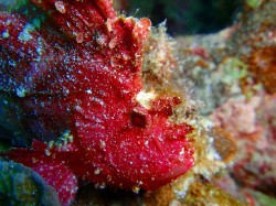 e3838fe38380e382abe3838fe382aae382b3e382bc