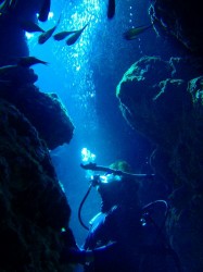 ポーズを決めて！（沖縄　慶良間諸島　黒島北）