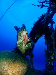 これ　な～んだ？