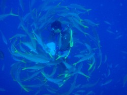 おお！トルネードっ