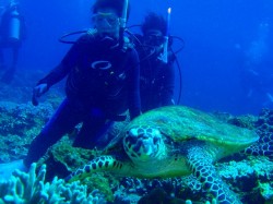 カメさんと２ショット