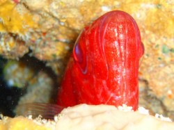 このアングルはなかなか無いです