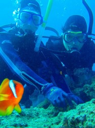 ハマクマノミもご一緒に♪