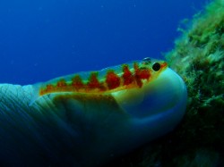 きれいな色ですね～