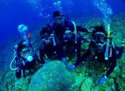 皆で集合写真です♪ 皆で集合写真です♪