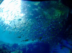 洞窟の入口はこんな感じ♪