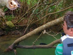 オカヤドカリ発見！！わかるかなぁ～