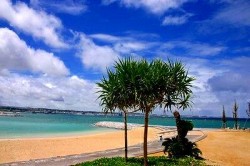 残念ながら今日の写真ではありませんが・・・ 残念ながら今日の写真ではありませんが・・・