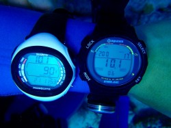 それぞれの表示の違いがわかりますか？