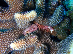 kerama20100421-1 kerama20100421-1