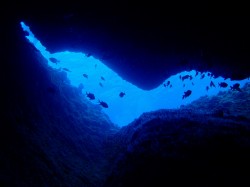 ダイナミック!! ダイナミック!!