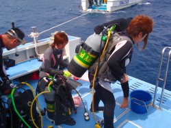 ナイトロックス