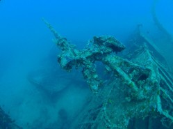 綺麗に残ってますね