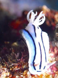 はじめはストロボワークに悩みましたね~