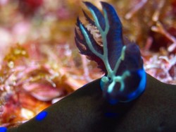 最終日には、色々はアングルから撮る楽しみもできましたね！！