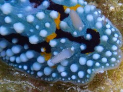 最終日には、ばっちり撮れていました！！