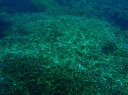 こんな状態もありました。