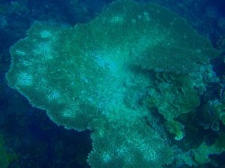 全体はこうでした。