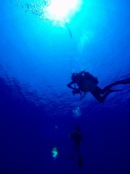 e5ae89e585a8e5819ce6ada2