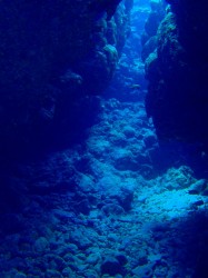 百合が浜のプチ洞窟　（沖縄　ダイビング）