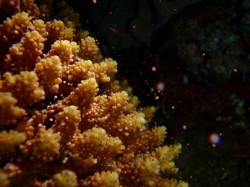 一斉に飛び出していきます♪