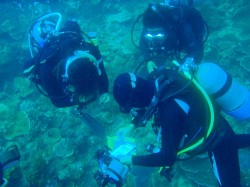 水中で、種類や深度ごとに観察していきました。