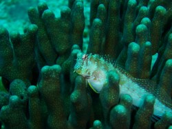 おなかが大きい季節です。