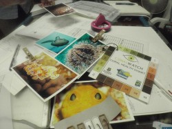 海に関してのネイチャーゲーム