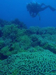 こんな感じです！