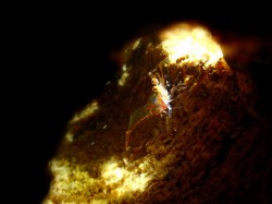 うわ　ちっちゃ！