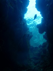 知志の「青の洞窟！」