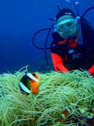 残波岬　ダイビング