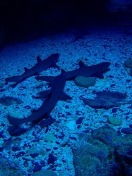 e38195e38281 e38195e38281