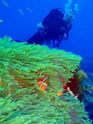 e382abe382afe383ac e382abe382afe383ac