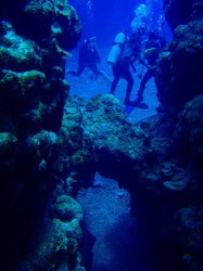 いろんなクレバスをくぐりぬけ。。。(沖縄 慶良間諸島) いろんなクレバスをくぐりぬけ。。。(沖縄 慶良間諸島)
