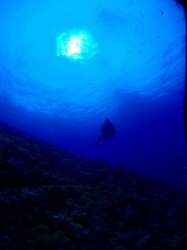 ドリフトツアー ドリフトツアー