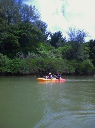 沖縄マングローブカヤック 沖縄マングローブカヤック