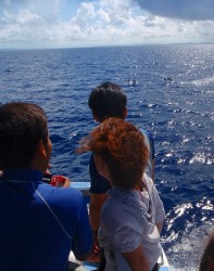 慶良間へ行く途中で♪イルカに遭遇!! 右上に写っているのですが、わかりますか? 慶良間へ行く途中で♪イルカに遭遇!! 右上に写っているのですが、わかりますか?