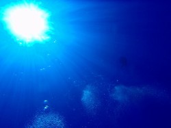 沖縄ダイビング