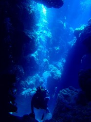 知志のクレパス 知志のクレパス