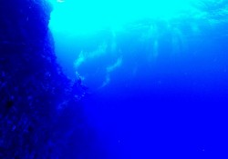 大物出ないかな～～～。泡で流れの強さが伝わりますか？