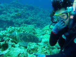 e382abe383a1e381a8e291a1e382b7e383a7e38383e38388-1