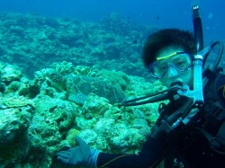 e382abe383a1e381a8e291a1e382b7e383a7e38383e38388