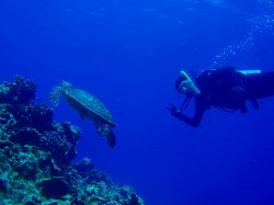 念願のカメとツーショット 念願のカメとツーショット