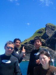 ファンチーム ファンチーム