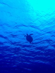 次回のターゲット!! 次回のターゲット!!